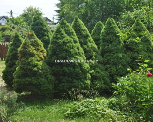 Działka ROD zabudowana budynkiem murowanym.