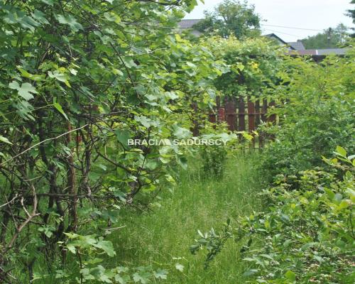 Działka ROD zabudowana budynkiem murowanym.