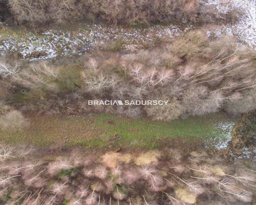 Działka w Skawinie, zieleń, lasy