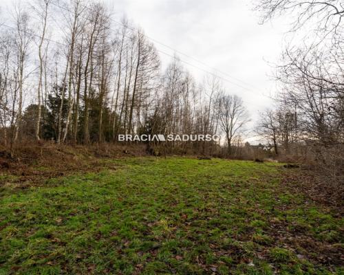 Działka w Skawinie, zieleń, lasy