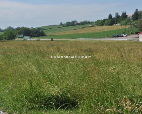 Działka inwestycyjna w Brzeziu gm.Kłaj