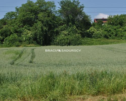 Duża działka inwestycyjna w Brzeziu gm.Kłaj