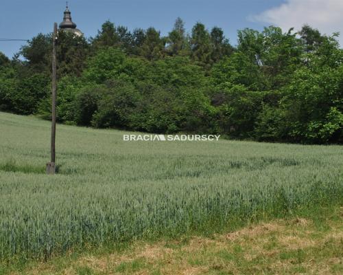 Duża działka inwestycyjna w Brzeziu gm.Kłaj