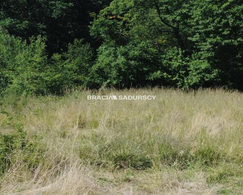 Duża nieruchomośc przy lesie w Chorowicach