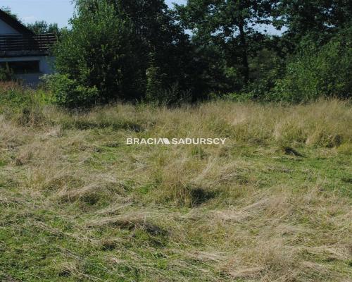Duża nieruchomośc przy lesie w Chorowicach