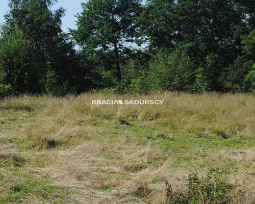 Duża nieruchomośc przy lesie w Chorowicach
