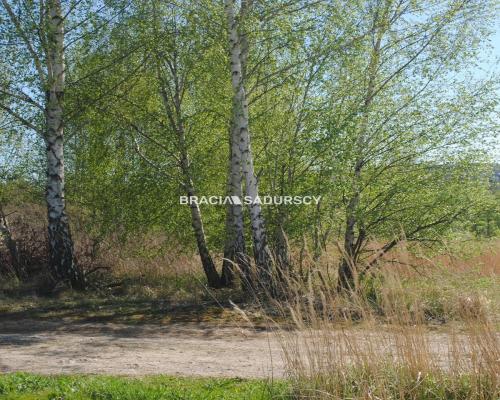 Atrakcyjna działka budowlana w Przebieczanach