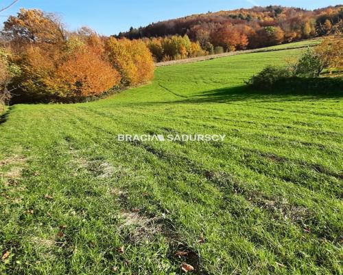 Działka położona jest we wsi Komorniki.