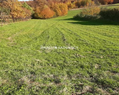 Działka położona jest we wsi Komorniki.