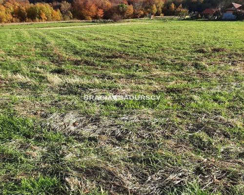 Działka położona jest we wsi Komorniki.