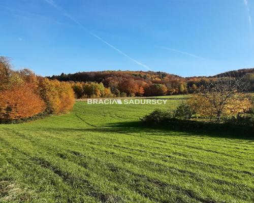 Działka położona jest we wsi Komorniki.