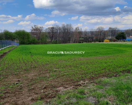 na sprzedaż działkę o powierzchni 2900 m2