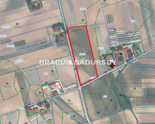 Działka zagrodowa w Szarbii gm. Koniusza