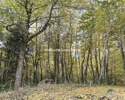Atrakcyjna działka budowlana Włosań gm. MOGILANY