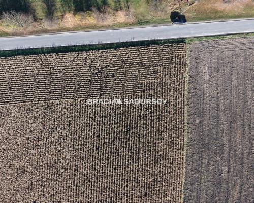 Działka budowlana Słomniki, Prandocin-Iły