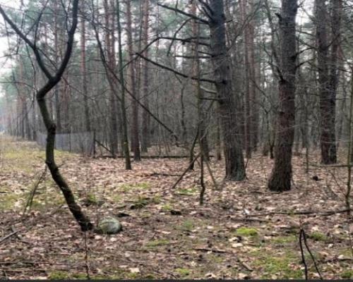 Sprzedam super działkę inwestycyjno-budowlaną .