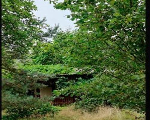 działka w Michalinie