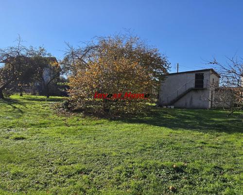 Solidny dom w dobrej lokalizacji.