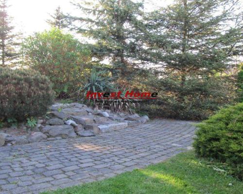 Duży lokal pod usługi.