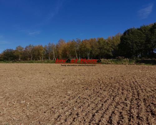 ✅ Piękna działka Jastrzębie Zdrój Szeroka 936m2 ✅