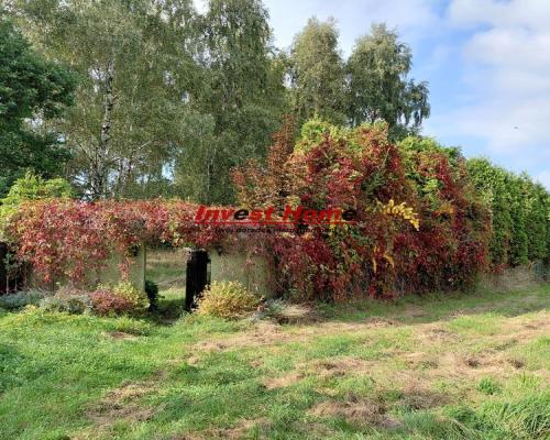 ✅ Piękna działka 1000 m2 Rydułtowy, Kordeckiego✅