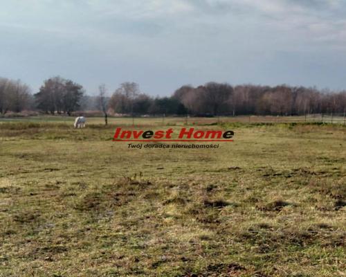 ✅ Interesująca działka budowlana Bełk 1691 m2✅