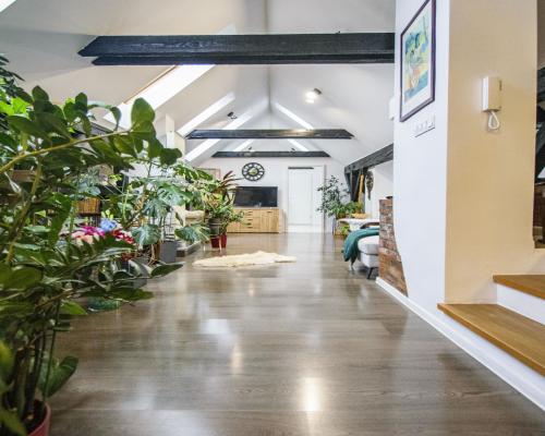 Wyjątkowe mieszkanie z widokiem na park - Świdnica