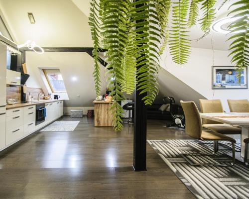 Wyjątkowe mieszkanie z widokiem na park - Świdnica