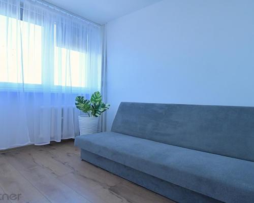 2 pokoje z oddzielną kuchnią, obok parku