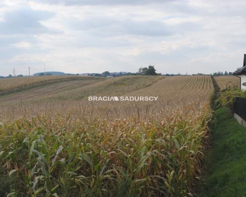 Działka budowlana w Proszowicach