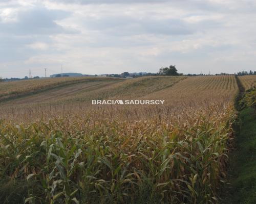 Działka budowlana w Proszowicach