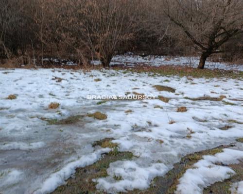 Duża działka inwestycyjna  w Czarnochowicach