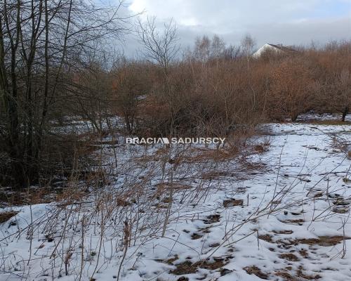 Duża działka inwestycyjna  w Czarnochowicach