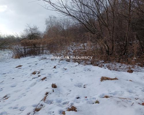 Duża działka inwestycyjna  w Czarnochowicach