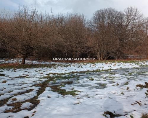 Duża działka inwestycyjna  w Czarnochowicach