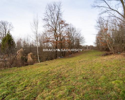 Działka w Skawinie, zieleń, lasy