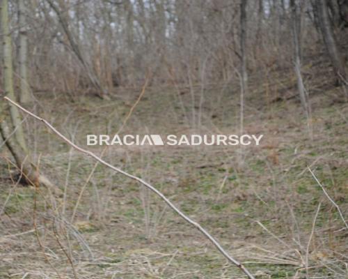 Do sprzedania działka budowlano- rolna ,częściowo zalesiona ,o pow ,48 arów ,/w tym 5 arów budowlane /w miejscowości Malkowice