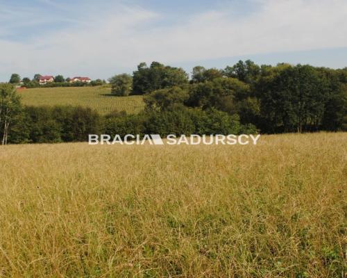 Okazja!!!Do sprzedania duża nieruchomość .