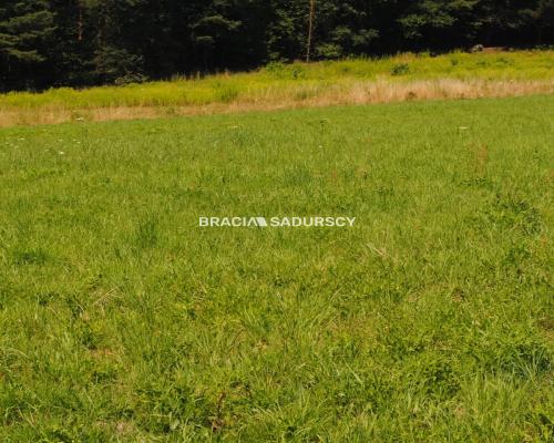 Duża działka budowlana w Kryspinowie.