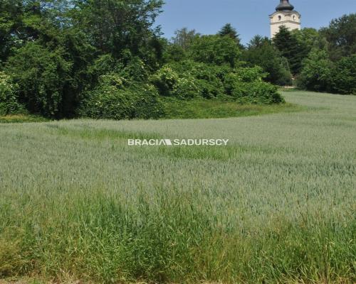Duża działka inwestycyjna w Brzeziu gm.Kłaj