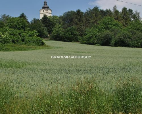 Duża działka inwestycyjna w Brzeziu gm.Kłaj