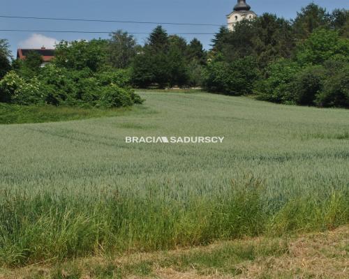 Duża działka inwestycyjna w Brzeziu gm.Kłaj