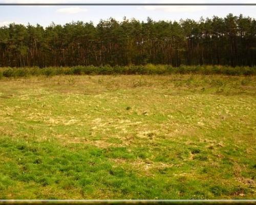 Posiadłość na DOM SENIORA, Dom Weselny 1 ha