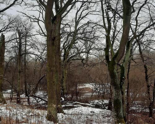 Piękna działka z WZ dla dwóch domów