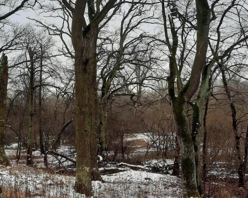 Piękna działka z WZ dla dwóch domów