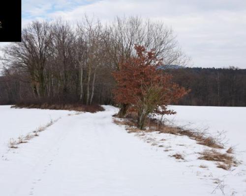 Zaczarowane miejsce 3ha