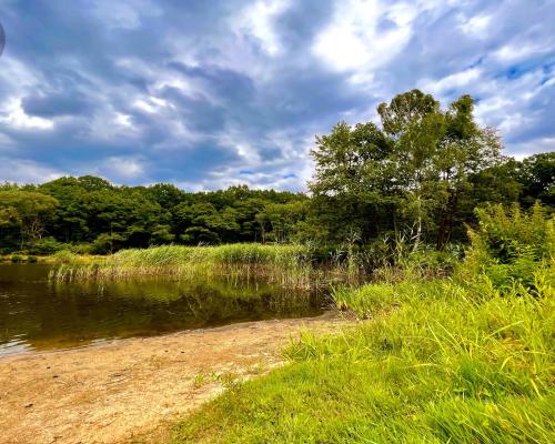 Zaczarowane miejsce 3ha