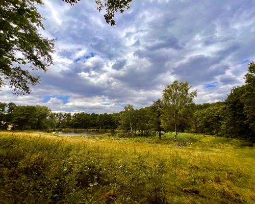 Zaczarowane miejsce 3ha