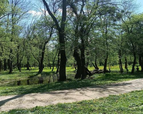 MIESZKANIE 4 POK. Z BALKONEM PRZY PARKU