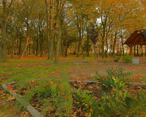 Nowe 3 pokoje, ogród, klima, 5 km do Wrocławia